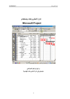 مايكروسوف بروجيكن 2003 صورة كتاب
