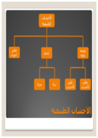 الاخشاب صورة كتاب