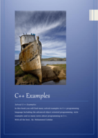 C++ Examples صورة كتاب