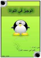 الوجيز في النواة Linux Kernel صورة كتاب