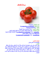 زراعة الطماطم صورة كتاب